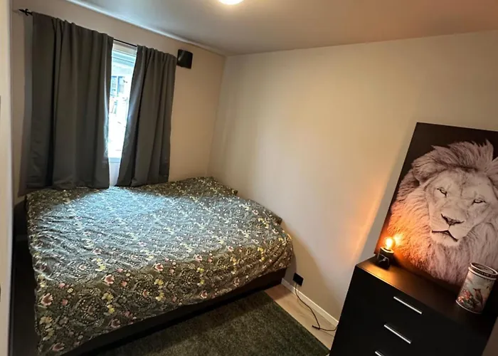 Central Apartment From 2025